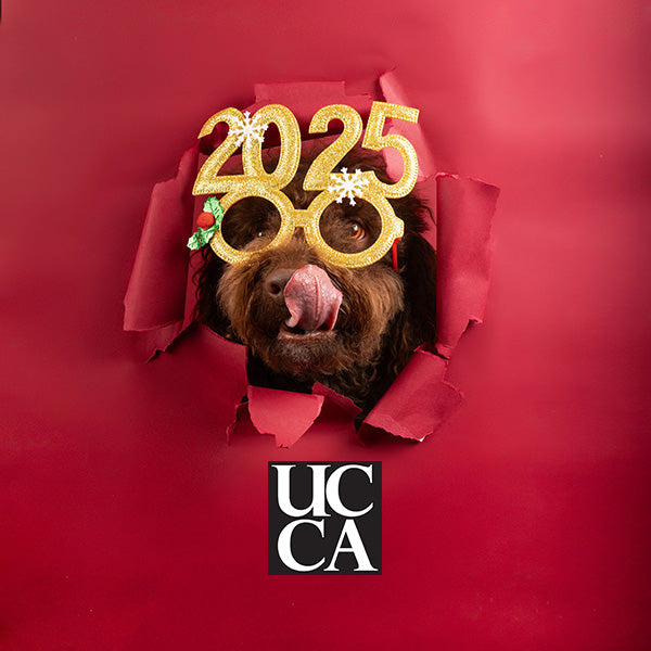 Ring in the New Year with the UCCA Merchandise Store! 🎉