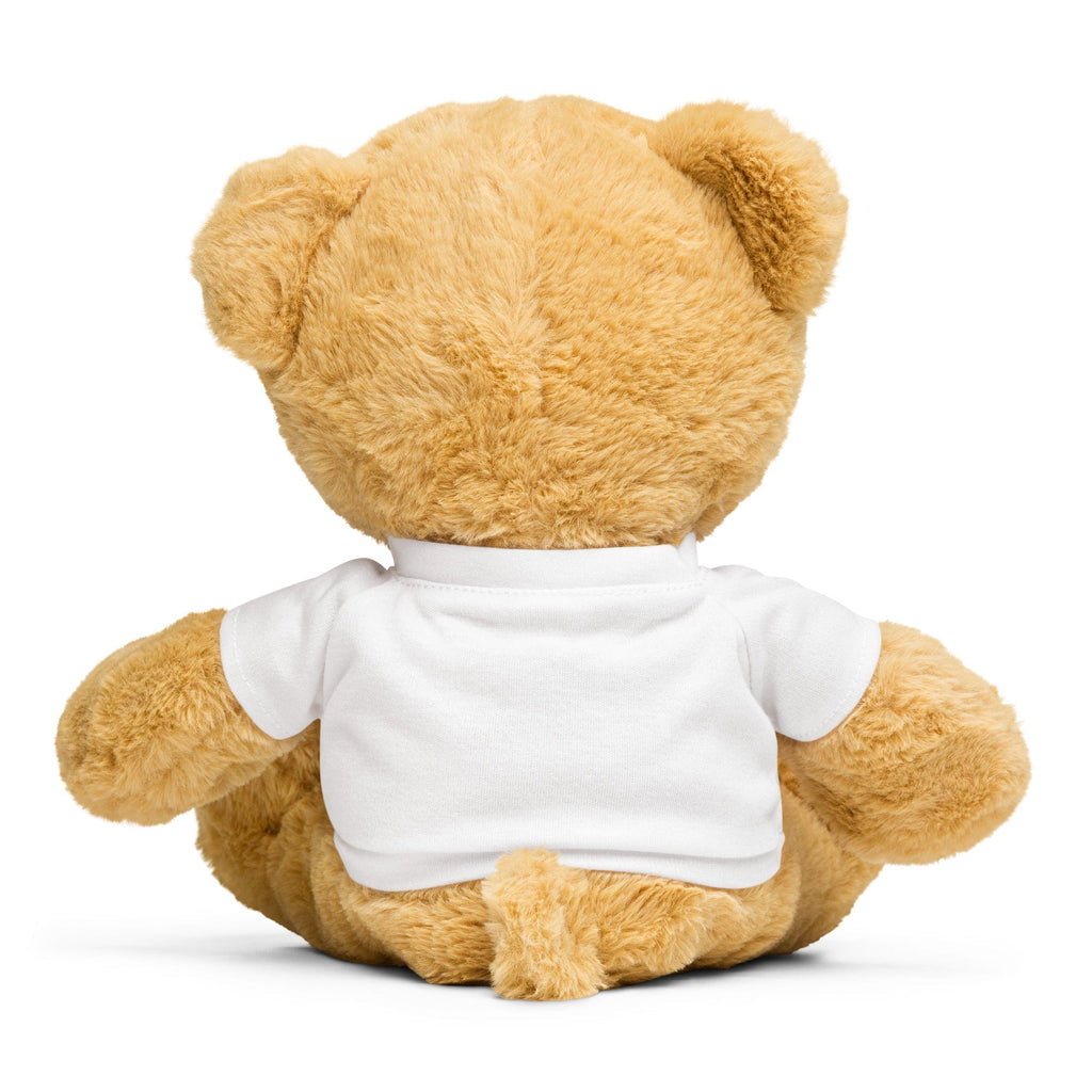 Cubbie the Teddy bear with a UCCA t-shirt Toys & Games