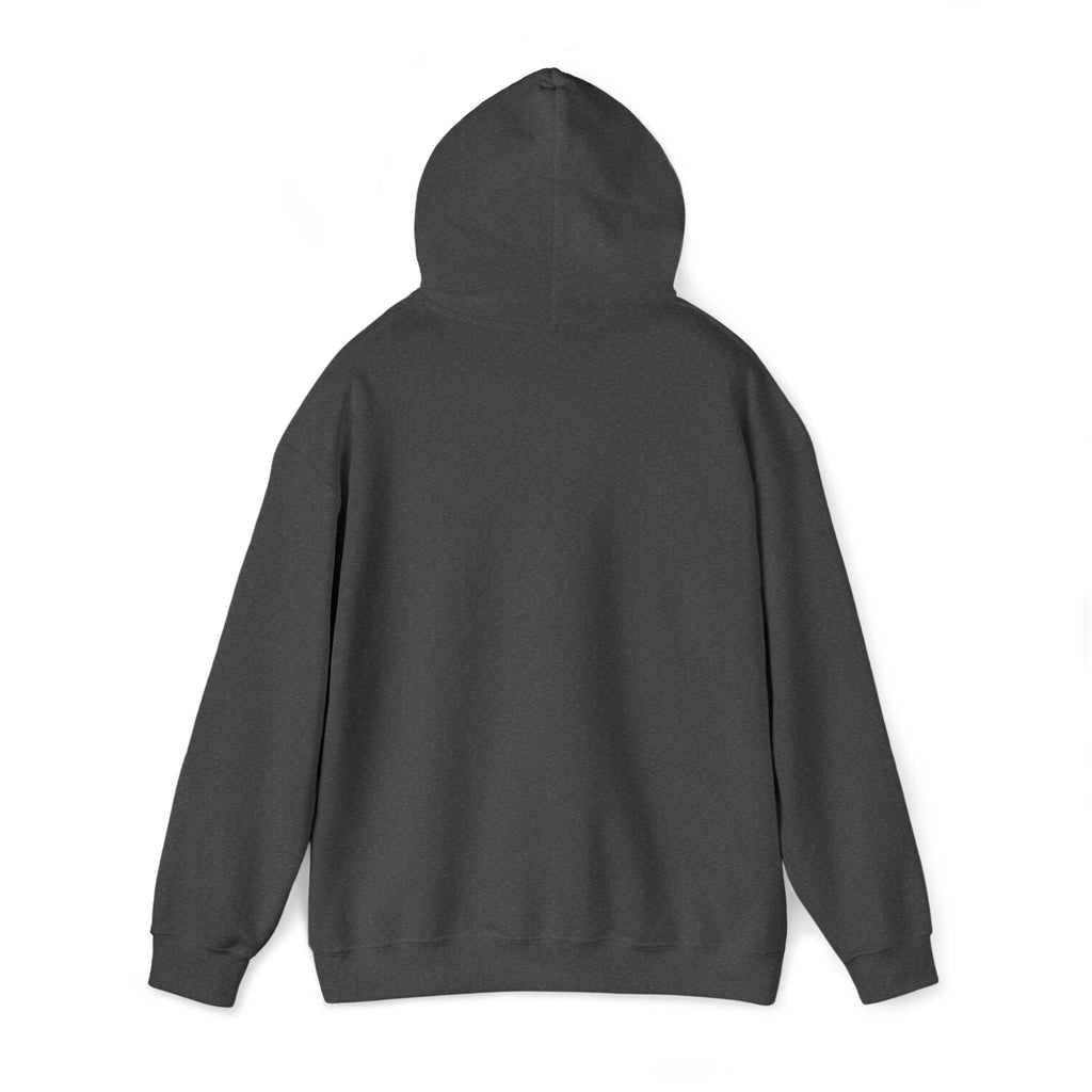 Unisex Heavy Blend™ Hooded Sweatshirt Hoodie